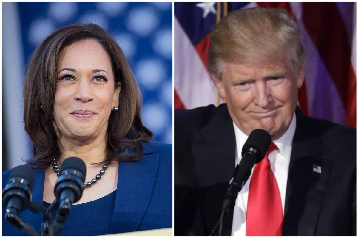 Kamala Harris y Donald Trump son los candidatos presidenciales de estas elecciones 2024 en EE.UU.