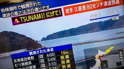 Kanamori dedicó gran parte de su vida a desarrollar sistemas de alerta temprana de sismos.