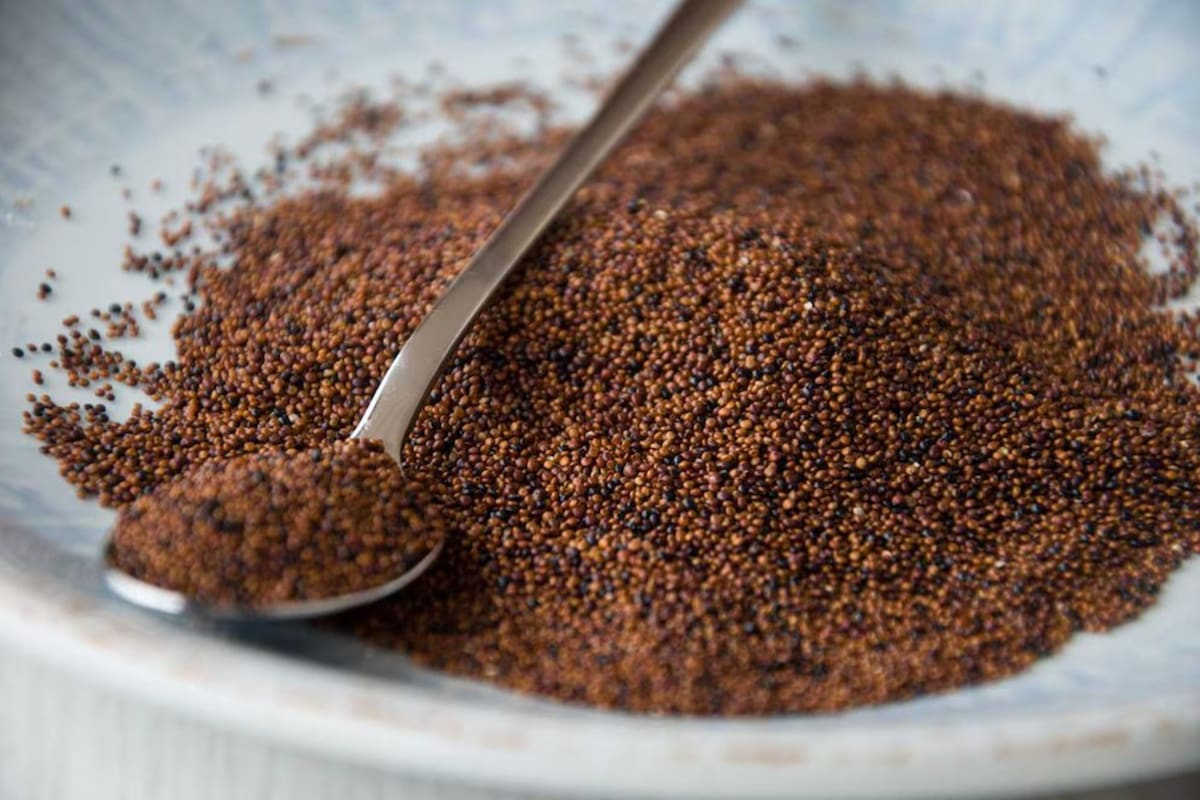Kañiwa, el superalimento que aumenta la masa muscular, es libre de gluten y combate la anemia (Foto: Diet Alba)