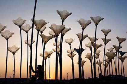 Kaohsiung, Taiwán. Edición fotográfica de Jesica Rizzo