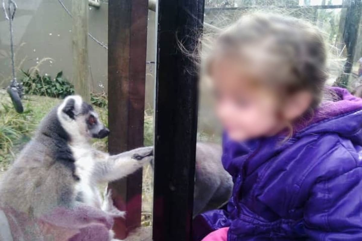 Karina tiene 10 años y sus compañeros le hacen bullying en el colegio