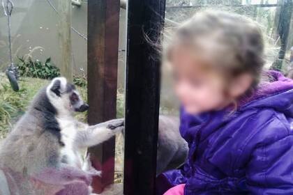 Karina tiene 10 años y sus compañeros le hacen bullying en el colegio