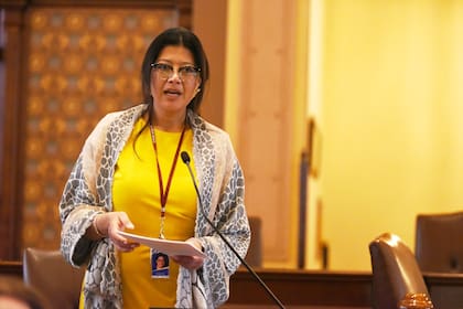 Karina Villa aseguró que esta medida ubica a Illinois como un referente en políticas medioambientales a nivel nacional (Imagen de Illinois Senate Democratic)