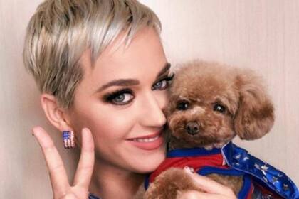 Katy Perry confesó que hace cuatro meses está practicando el veganismo y generó revuelo por admitir que su mascota también