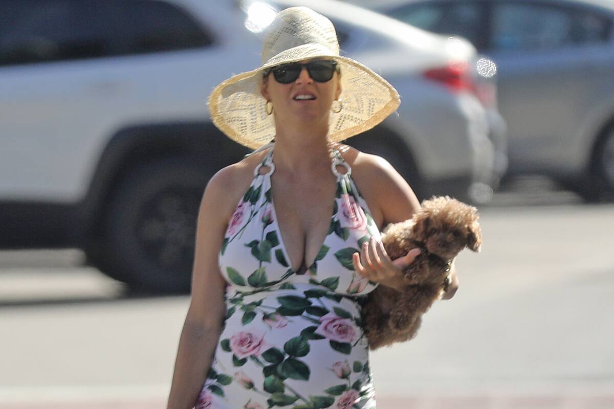 Katy Perry, unos días atrás a punto de disfrutar la playa junto a su pareja y su padre