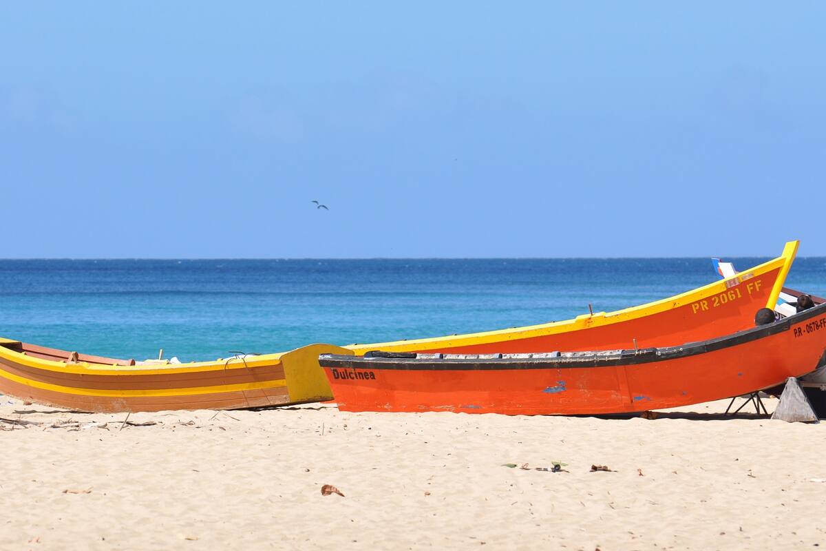 Kayak de día y también de noche en Puerto Rico