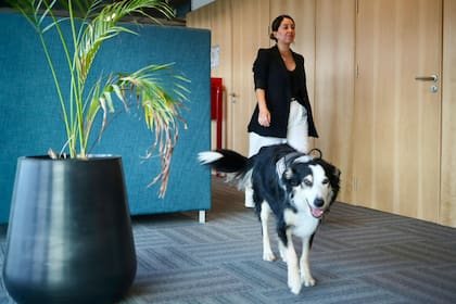 Keila Barral Masri junto a su perro de alerta médica, Harry, al ingresar al hub, donde actualmente lidera un equipo que trabaja en el desarrollo de una plataforma de datos clínicos