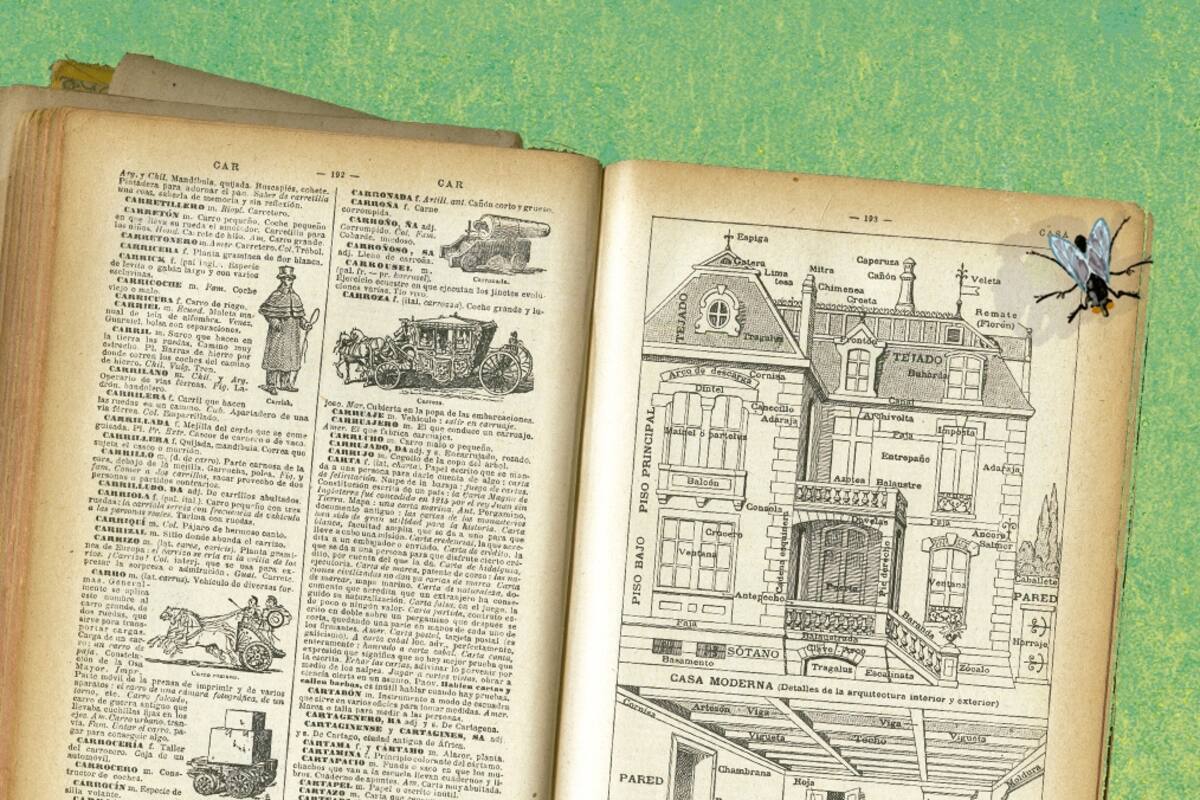 Kenneth Bernard se mete en la mente de un hombre obsesionado por los insectos. De eso se trata “Matamoscas”