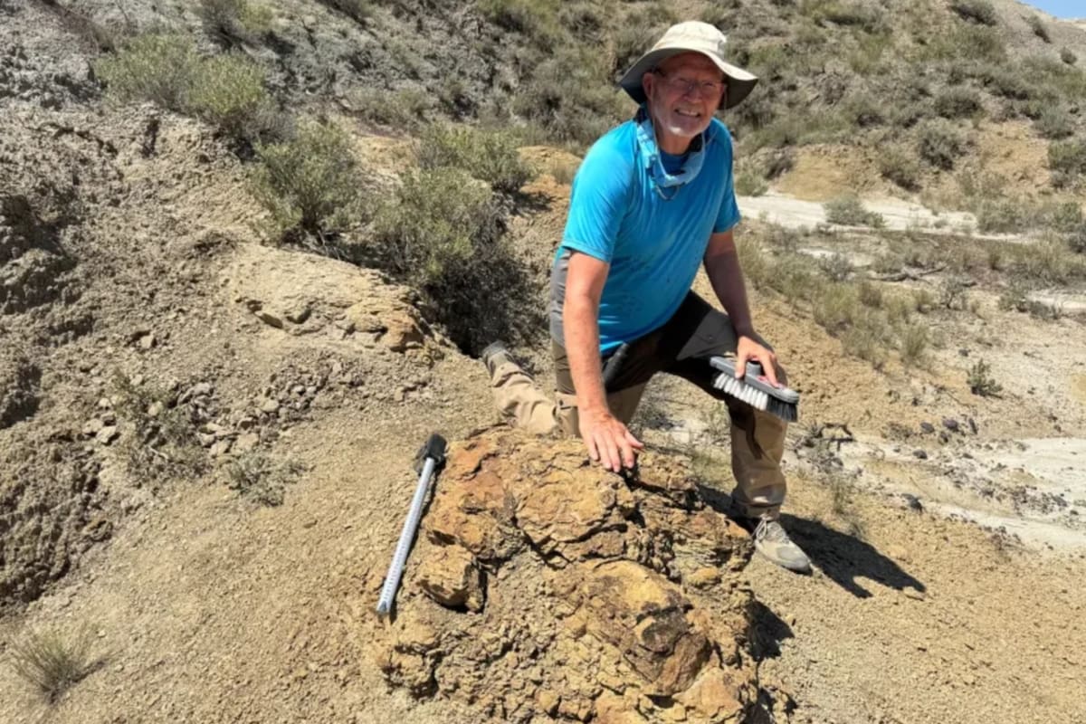 Kent Hups, profesor de ciencias de Colorado, detectó inicialmente dos enormes marcas fosilizadas durante una expedición en la Formación Hell Creek