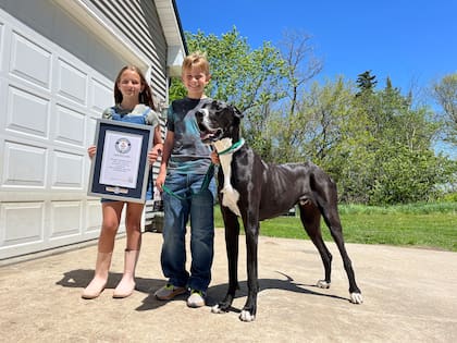 Kevin junto a los niños de la familia Wolfe. Foto: @GWR