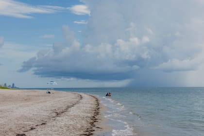 Key Biscayne Beach, en Florida, en julio de 2023, cuando se registró un récord de calor del agua en la zona. (Alfonso Duran/The New York Times)