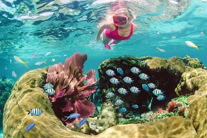 Key Largo es ideal también para los amantes del snorkel y los deportes acuáticos