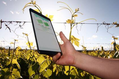 Kilimo vincula agricultores y empresas con el objetivo de aliviar el estrés hídrico de las cuencas bajo la visión de crear un futuro con agua disponible para las comunidades, industrias y ecosistemas