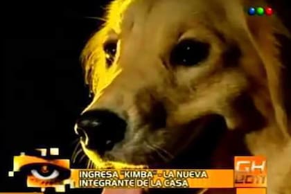 Kimba falleció a finales del 2022 (Captura video)