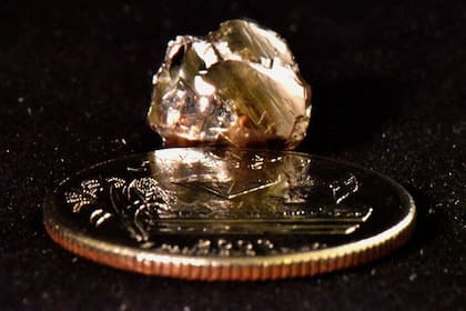 Kinard encontró el segundo mayor diamante en los 48 años de historia del parque