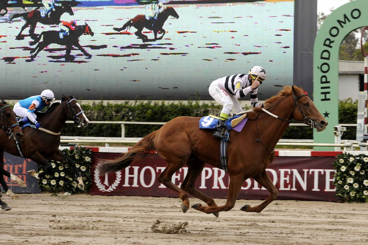 King Slew se adueñó del Classic, la más importante de las Carreras de las Estrellas