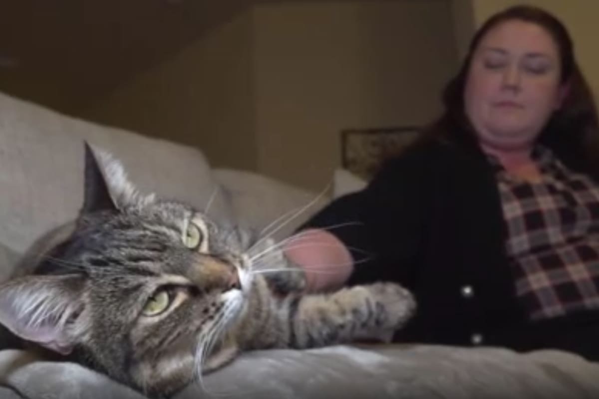 Kinsey vive en la ciudad de West Sacramento, Estados Unidos (Foto: YouTube)