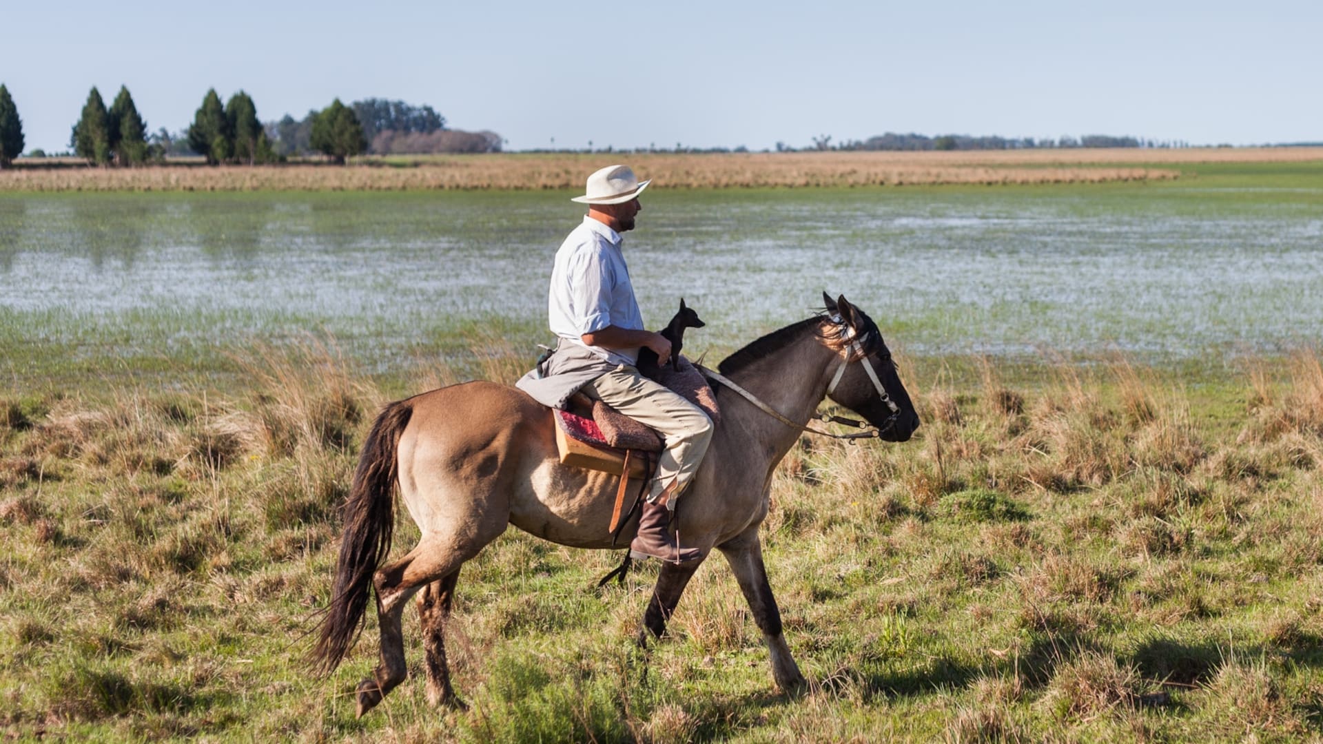 Jornada de trabajo con la hacienda en Estancia Buena Vista.