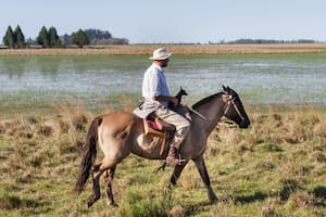 Klaus Liebig de Estancia Buena Vista.