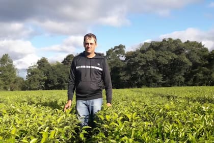Klingbeil, referente de Economías Regionales de CAME, advierte que el año próximo la caída puede ser histórica y afectar el precio. "Brasil y Paraguay, están igual", afirma