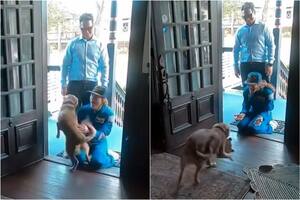 Koch recibe el cariño de su mascota tras regresar a su hogar