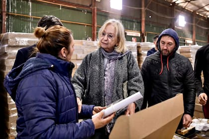 Kogan, jueza de la Suprema Corte bonaerense, el año pasado, durante la organización de las elecciones provinciales