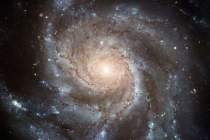 Koichi Itagaki hizo un hallazgo desde su observatorio (Foto NASA)