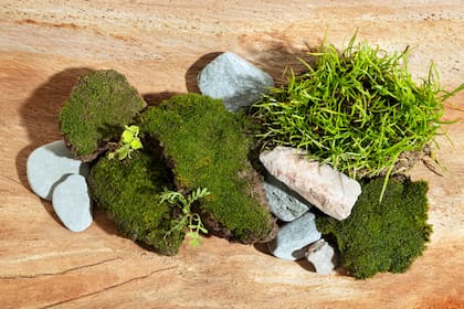 Kokedamas y kusamonos: el secreto nipón para llevar calma y naturaleza a cualquier rincón