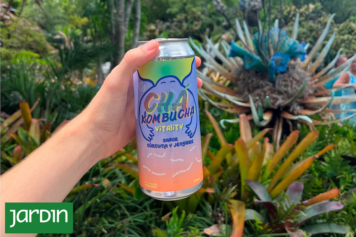 Kombucha es la nueva gaseosa, pero tiene beneficios que favorece la salud de nuestro sistema inmunitario.