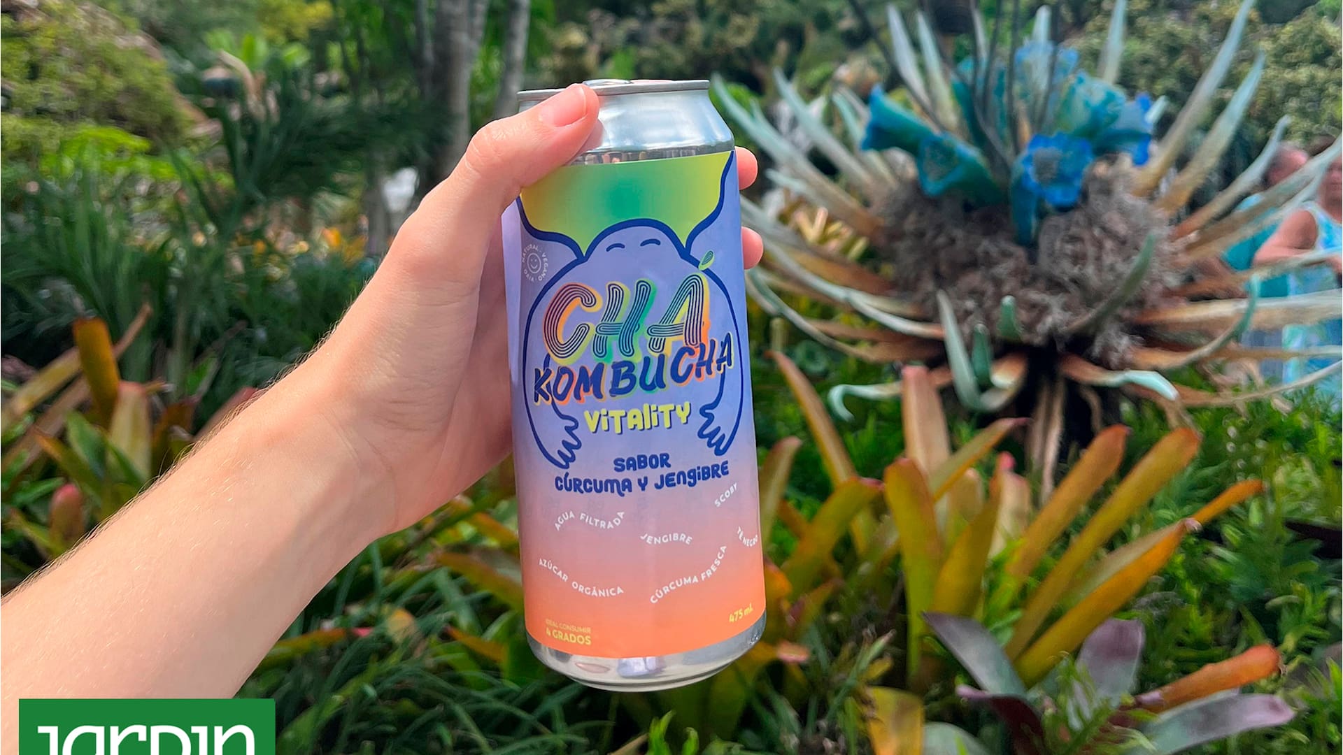 Kombucha es la nueva gaseosa, pero tiene beneficios que favorece la salud de nuestro sistema inmunitario.
