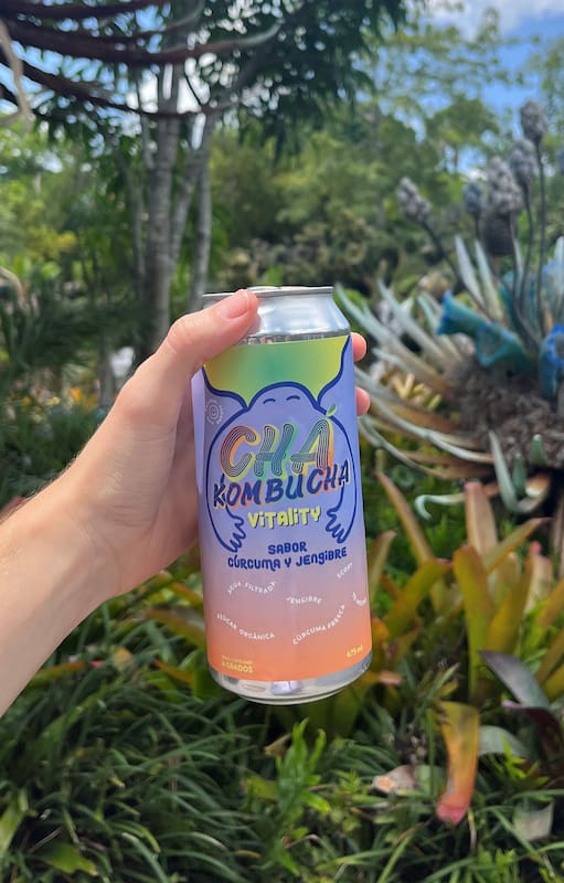Kombucha es la nueva gaseosa, pero tiene beneficios que favorece la salud de nuestro sistema inmunitario.