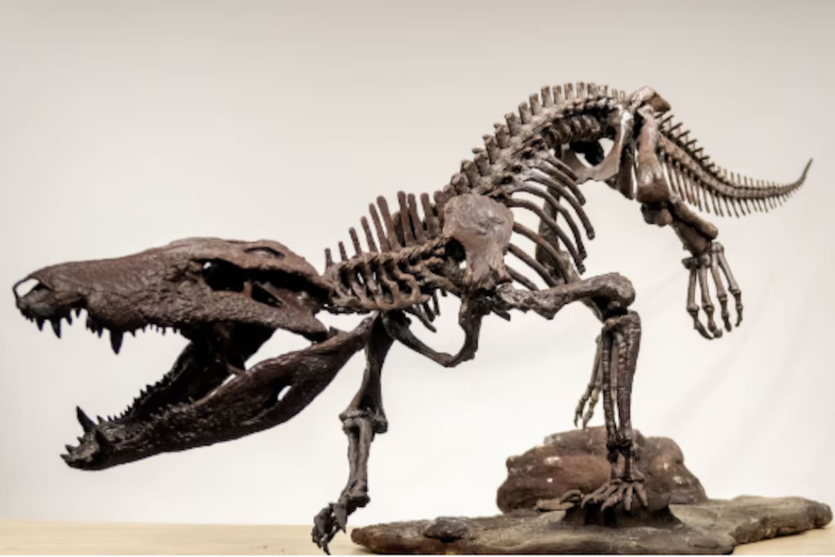 Kostensuchus atrox