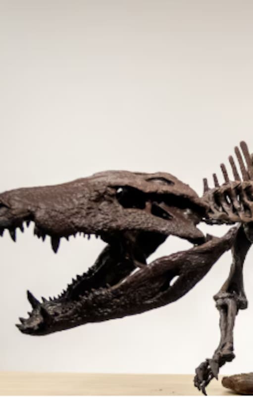 Kostensuchus atrox