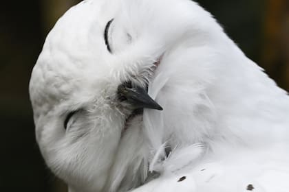 Kronberg, Alemania. Edición fotográfica de Jesica Rizzo