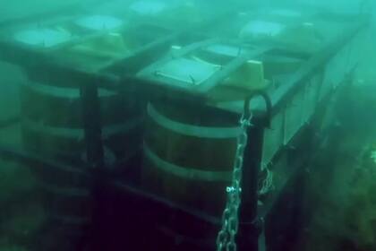 "Kroᥒomᥱthᥱr" Proyecto Barricas, cerveza macerada bajo el mar, en Mar del Plata