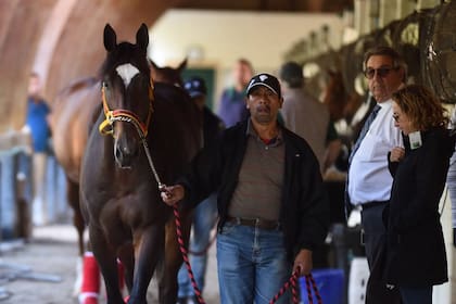 Kukulcán está por segunda vez en los Estados Unidos y es una de las atracciones en los establos de Gulfstream Park, donde correrá el sábado