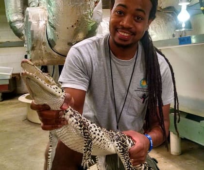 Kyle Miller trabaja en el Reptile Discovery Center y es parte fundamental de los programas de conservación del cocodrilo cubano