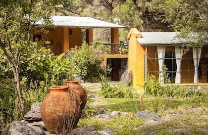 Lavandas, tilos, castaños, tabaquillos y nogales crecen en el jardín de La Constancia.
