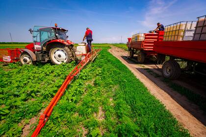 La AB2240 afecta a los migrantes que trabajan como agricultores en California