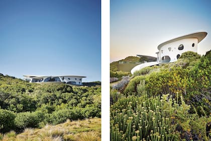 Las aberturas dejan que la naturaleza atraviese la casa en todos los ambientes.