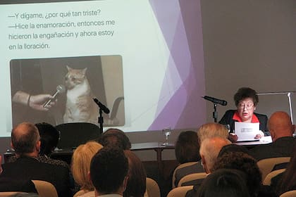 La académica Hilda Albano analizó memes en su discurso de ingreso a la Academia Argentina de Letras