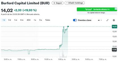La acción de Burford Capital Limited (BUR)