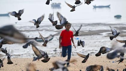 La actividad de observar aves no es solo beneficiosa para gente mayor