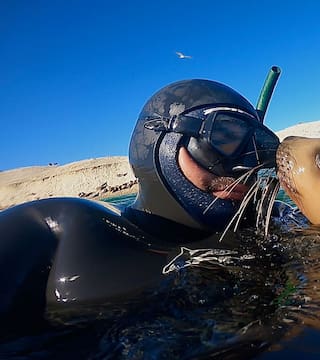 Cómo es la sorprendente experiencia de bucear con ballenas, lobos marinos y delfines