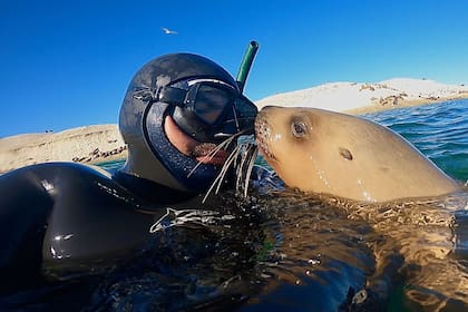 “La actividad dura 45 minutos y está monitoreada por guardafaunas. Existe un sistema de boyas a 70 y 50 metros de la costa que delimita las áreas permitidas para embarcaciones y nadadores”, detalla Natale
