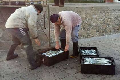 La actividad enfrenta dificultades