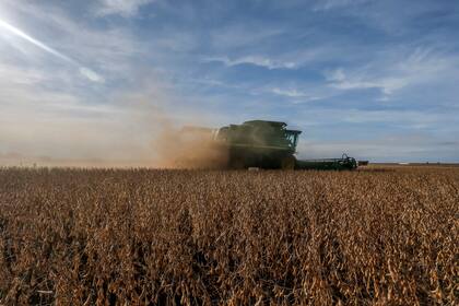 La actividad está sujeta a la mirada de la sociedad y de diversos actores del mercado
