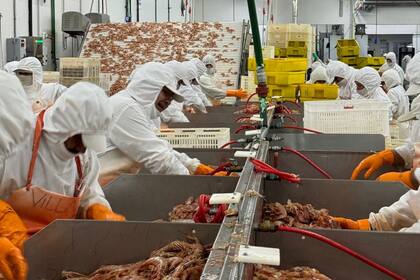 La actividad pesquera advirtió sobre la situación de "quebranto" que atraviesan