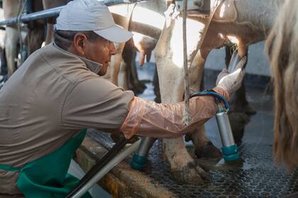 La actividad tambera está en crisis, por los costos, la falta de reservas y mercados estancados