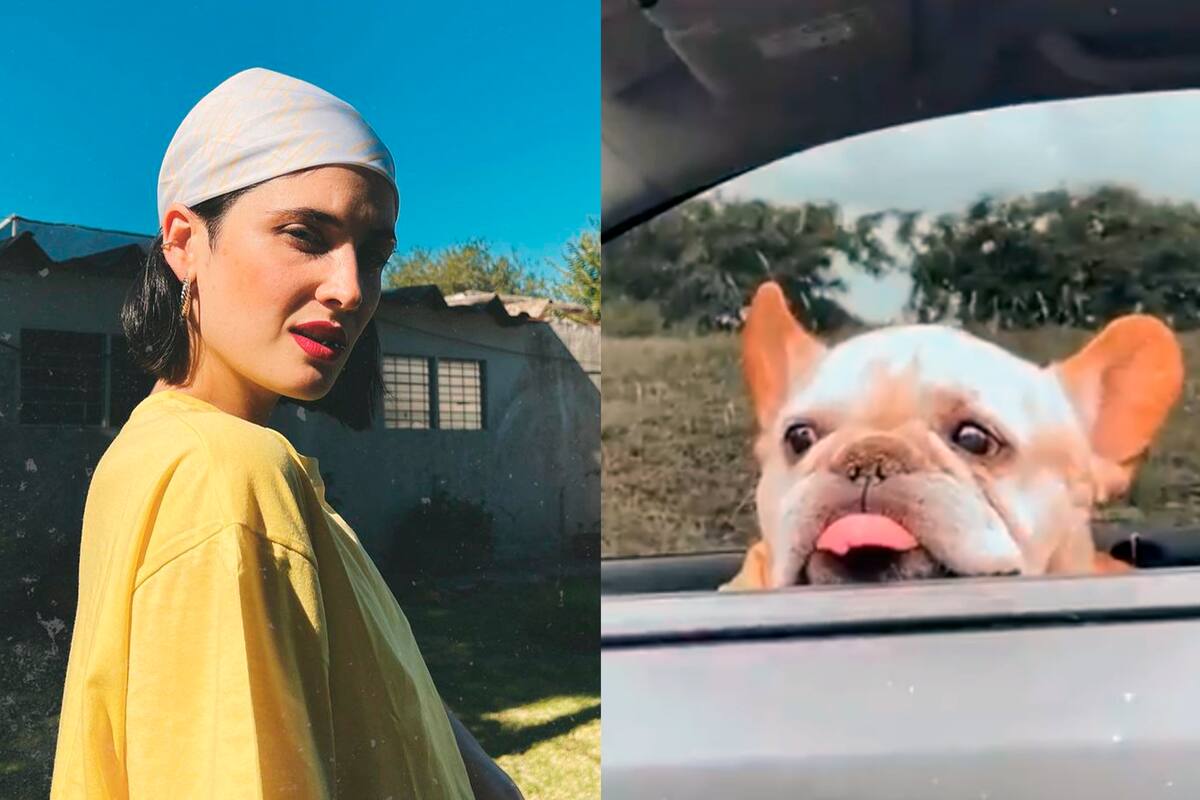 La actriz fustigó a una seguidora que la criticó por su mascota.